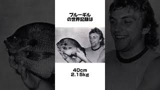 各魚釣りの衝撃サイズ5選　　　　　　　　　　#釣り #ブラックバス #fishing #fish #バス釣り#サイズ#世界記録#ブラックバス世界記録#バス#釣りあるある#釣り常識#常識#つりたろう