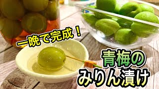 【一晩漬けるだけ】暑い時期の疲れ対策に毎日食べたい青梅！さっぱりみりん漬け