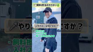 【社員インタビュー】教えて先輩シリーズ13