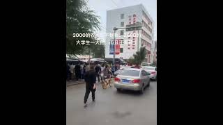 20221006 沈阳劳动力市场，3000零工失业