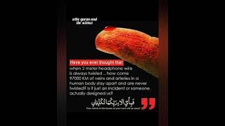 #quranlines #thequranandthescience #qurandeeplines