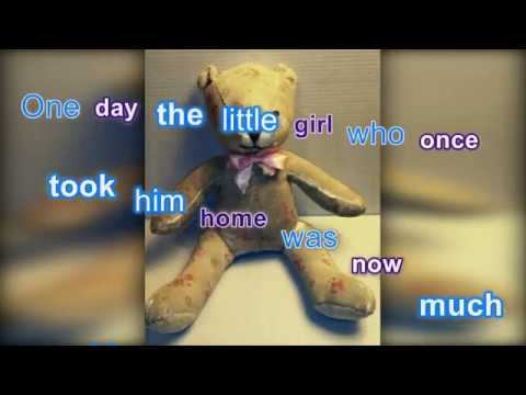 One Used Teddy