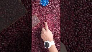 Samsung galaxy S24 Ultra Display quality testing 2025 Digital technology #shorts