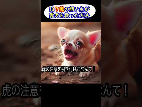 【アニメ】虎と暮らす犬の悲劇！檻の中で大事故発生！【コント】 #shorts