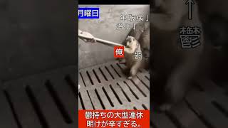 鬱持ちの連休明けが辛すぎる。