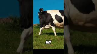 If animals Had no neck #animals #memes