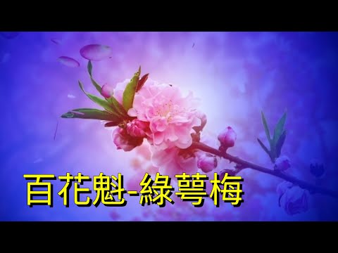 YPT31《百花魁-綠萼梅》心靈音樂｜休閒音樂｜佛教音樂｜禪修音樂｜太極拳背景音樂＞無痕加長珍藏版