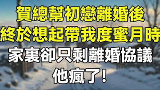 賀總幫初戀離婚後，終於想起帶我度蜜月時，家裏卻只剩離婚協議，他瘋了！ #故事 #情感故事 #生活經驗 #感人故事 #老年生活 #為人處事 #人生哲理