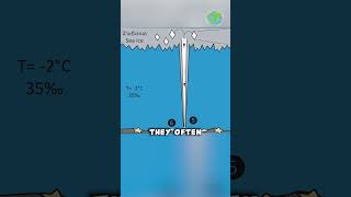 The Finger of Death #shorts #interestingfacts #marinelife