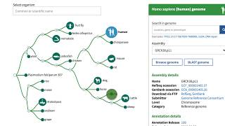 NCBI's Genome Data Viewer - Getting Started