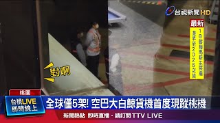 貨艙面積現今第二大! 大白鯨載貨能力超強