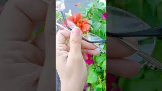 kính lão đọc sách tròng thủy tinh #kinhlao #glass #kinhmatnu #kinhmat #sunglasses #kinhcaumay