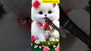 Islamic cats artificial intelligence videos subscribe now