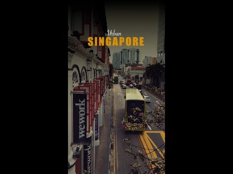 Travel Bites: Urban areas in Singapore