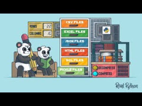 Pandas Made Easy: Read CSV and XLSX Files Like a Pro