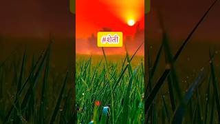 शेती 🚨 #shots #trending #subscribe #vairal #machine #fact #tech #tiktok #cow #instagram #special