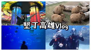 【墾丁高雄Vlog】勇敢的潛水後記🤿｜瘋狂睇海同動物🌊🐠🦌｜有feel的鈕扣倉庫🎤🎵