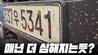 벌레사체 때문에 셀프세차 하기 힘들죠?