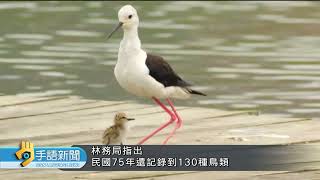 民國75年劃設 關渡自然保留區公告廢止