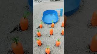 Diy tractor mini Bulldozer to making concrete road | Construction Vehicles, science project , diy