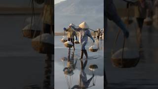 by the sea #amazing  #awesome #nature #nice #ruralcommunities #beach #shorts #viral