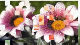 恋する御堂筋 江本孟紀　入江マチ子～Relaxing Music