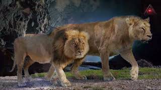 28,000-year-old lion cub ‘best preserved Ice Age animal ever found’