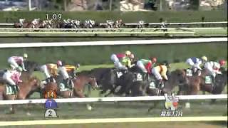 H25 第49回 福島記念 (GIII) / ダイワファルコン 川須 栄彦 【競馬】