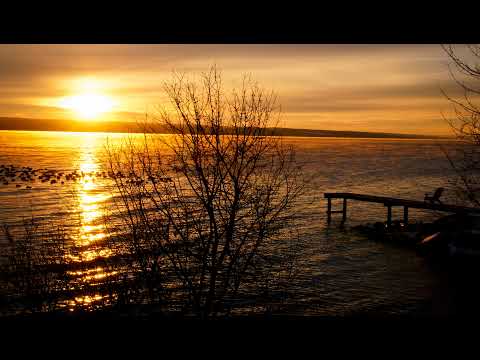 Lynn Dye Live Stream