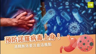 突然上吐下瀉找不到原因？有可能是諾羅病毒上身！