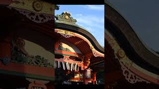 那些用眼神交流的镜头 黄政民 李星民 特工  在相机里的部分 japan 日本 #Osaka #旅行推荐官 #日本旅游 #Japan #日本三日游