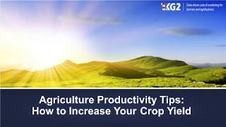 Agriculture Productivity Tips How to Increase Your Crop Yield