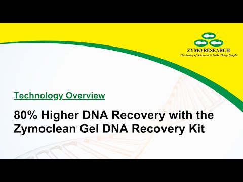 80% Higher DNA Recovery with the Zymoclean Gel DNA Recovery Kit
