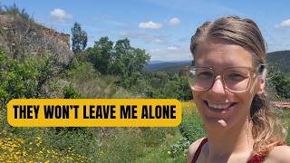 What They Don’t Tell You About Living in the Portuguese Countryside