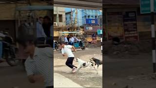 Aaj toh dog ne best friend 😰nahi raha 🥹#youtube #dogapparel #dogclothes #dogshorts #doglife