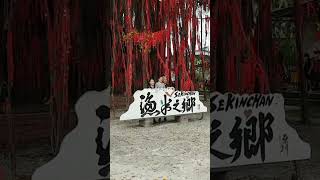 许愿树，抛得越高就越灵！