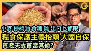 糧食保護主義抬頭 大國自保 小麥 棕櫚油 食糖 雞 出口乜都限 貧賤夫妻首當其衝？李鴻彥直播