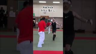 Axe kick かかと落とし #lees #martialarts #taekwondo #tkd