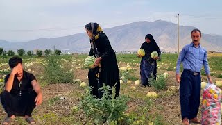 Fatima's resistance to not working and her stepmother's refusal to give in to her