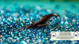 Harmony of the Deep: Whalesong and the Ingenious Engineering of Mice and Keyboards 🐋🎶⌨️