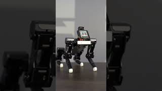 XGO Mini has some dance moves! #shorts #robotic