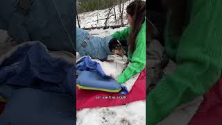 How to keep your dog warm winter camping -10c/14f