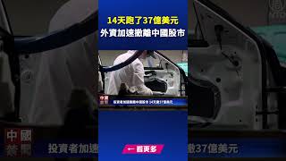 外資加速撤離中國股市 14天跑了37億美元｜ #新唐人電視台