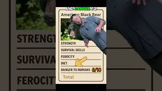The American Black Bear Power Card 🐻🔥