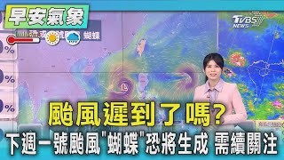 颱風遲到了嗎? 下週一號颱風「蝴蝶」恐將生成 需續關注｜氣象主播 謝宜倫｜早安氣象｜TVBS新聞 20250607 @TVBSNEWS01