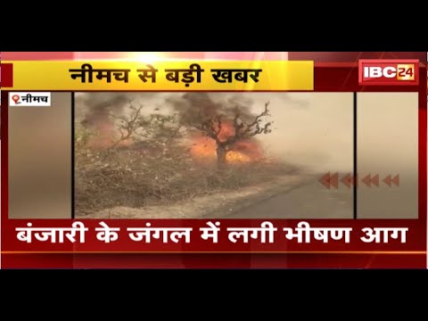 Neemuch Fire News : बंजारी के जंगल में लगी भीषण आग। Fire Brigade की गाड़ियां मौके पर पहुंची