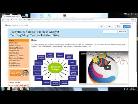 2017 07 27 17 37 Business Analyst Live Demo   Lakshmi Sree