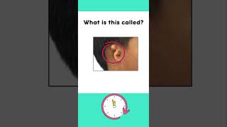 English Vocabulary #englishvocabulary #englishvocabularyforbeginners #englishwords #shorts  #quiz