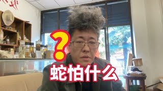 蛇怕什么？有哪些防蛇技巧？