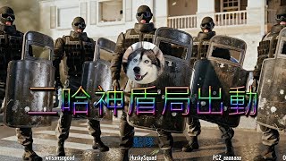 「虹彩六號」 哈士奇的R6日常(8)--神盾局菜B